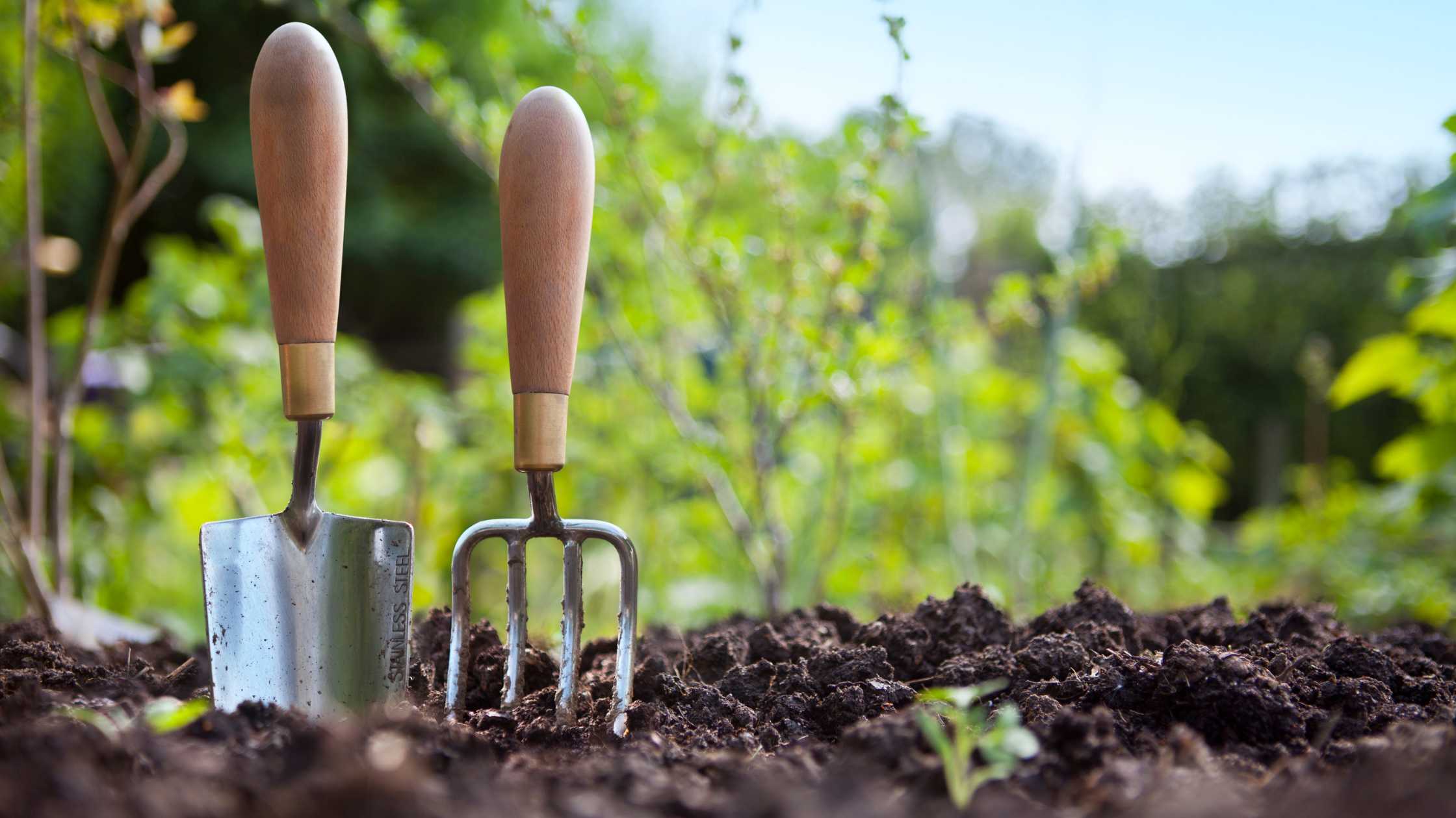 Frugal Gardening Hacks: Maximizing Your Green Space on a Budget